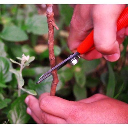 Mini Kit de Jardinagem com Ferramentas de Madeira e Metal