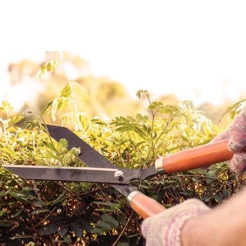 Tesoura de Poda Tramontina para Grama, Jardim e Cerca Viva